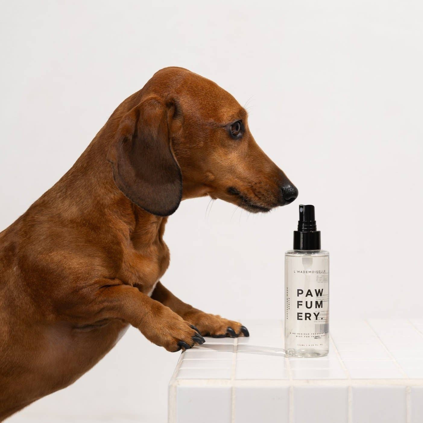L'Mademoiselle Pawfum Spray
