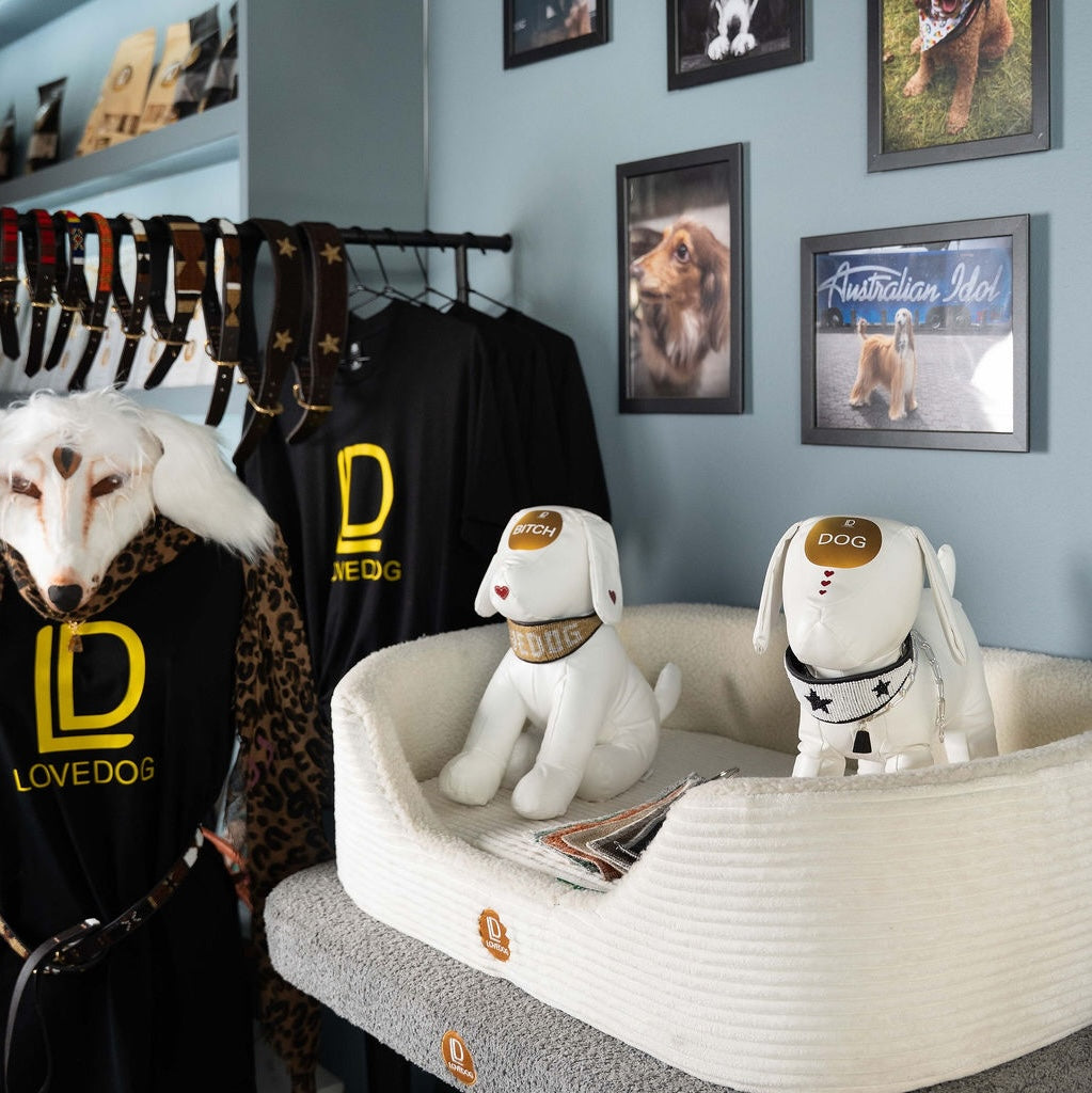 LOVEDOG picks