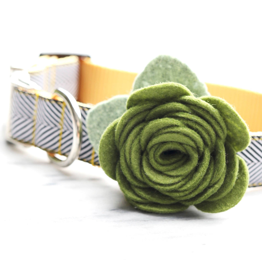 Dog Collar Rose Flower