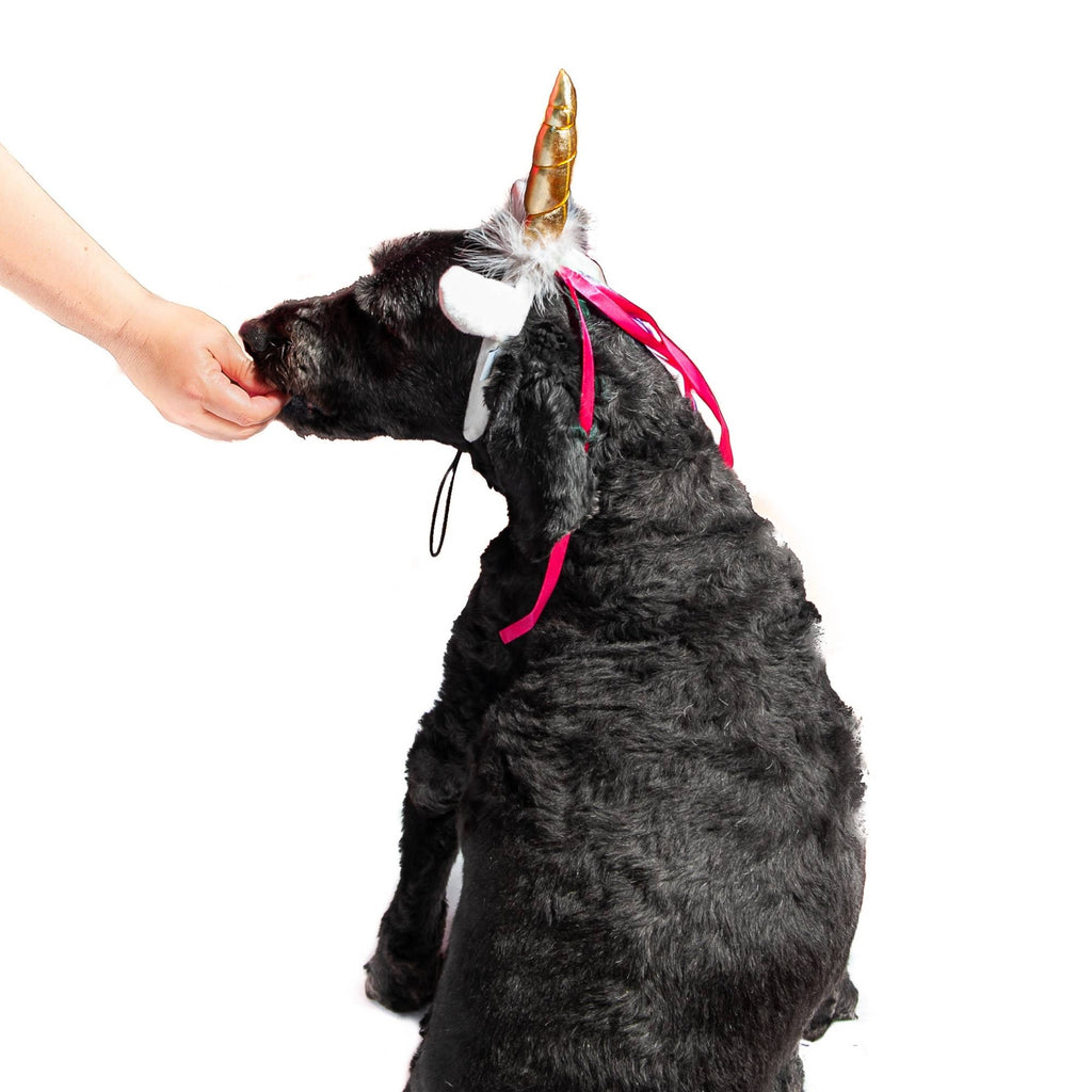 Midlee Dog Unicorn Headband Halloween Costume