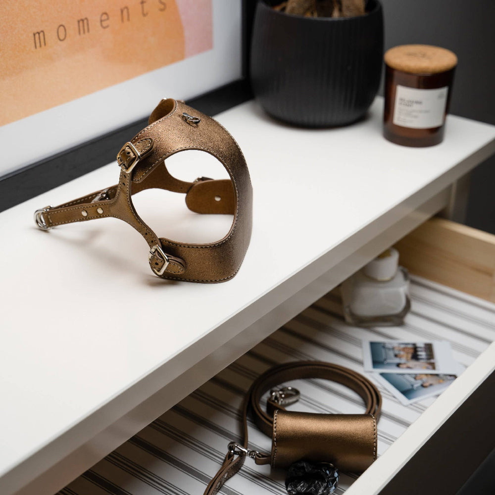HANDMADE LEATHER SET - Bronze