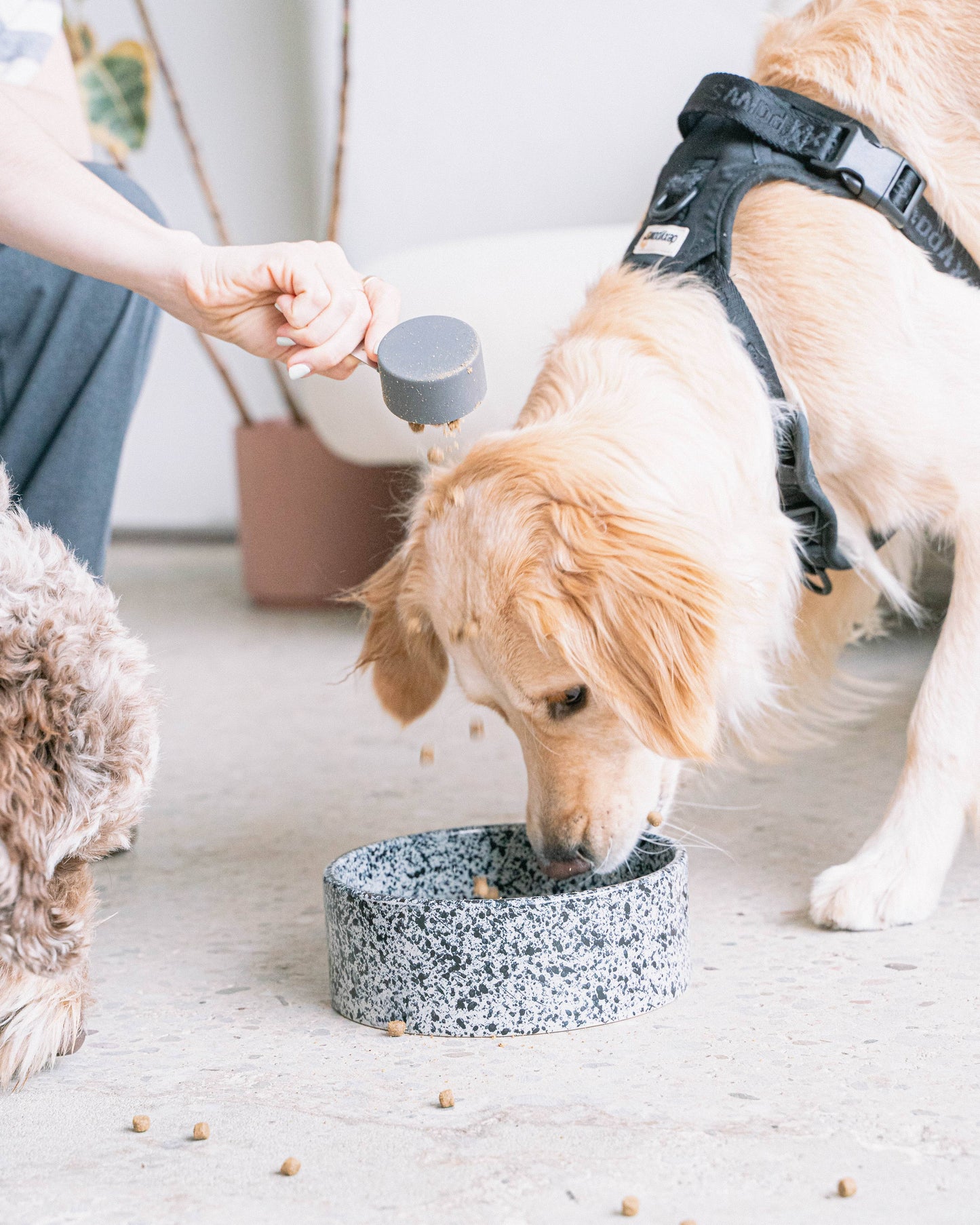 Salt & Pepper Ceramic Dog Bowl: 8 Inches