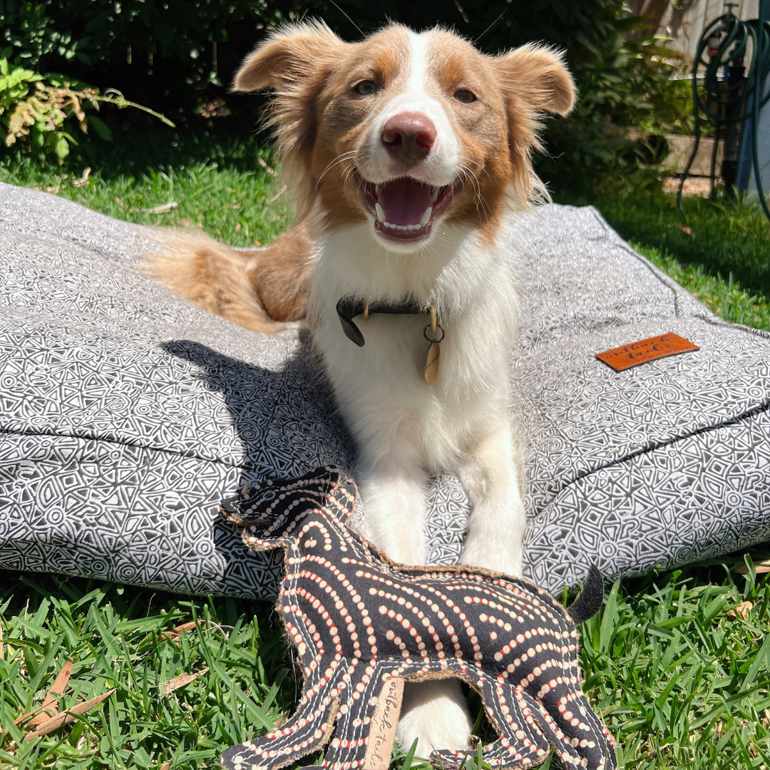 Desert Dog Chew Toy - Bob