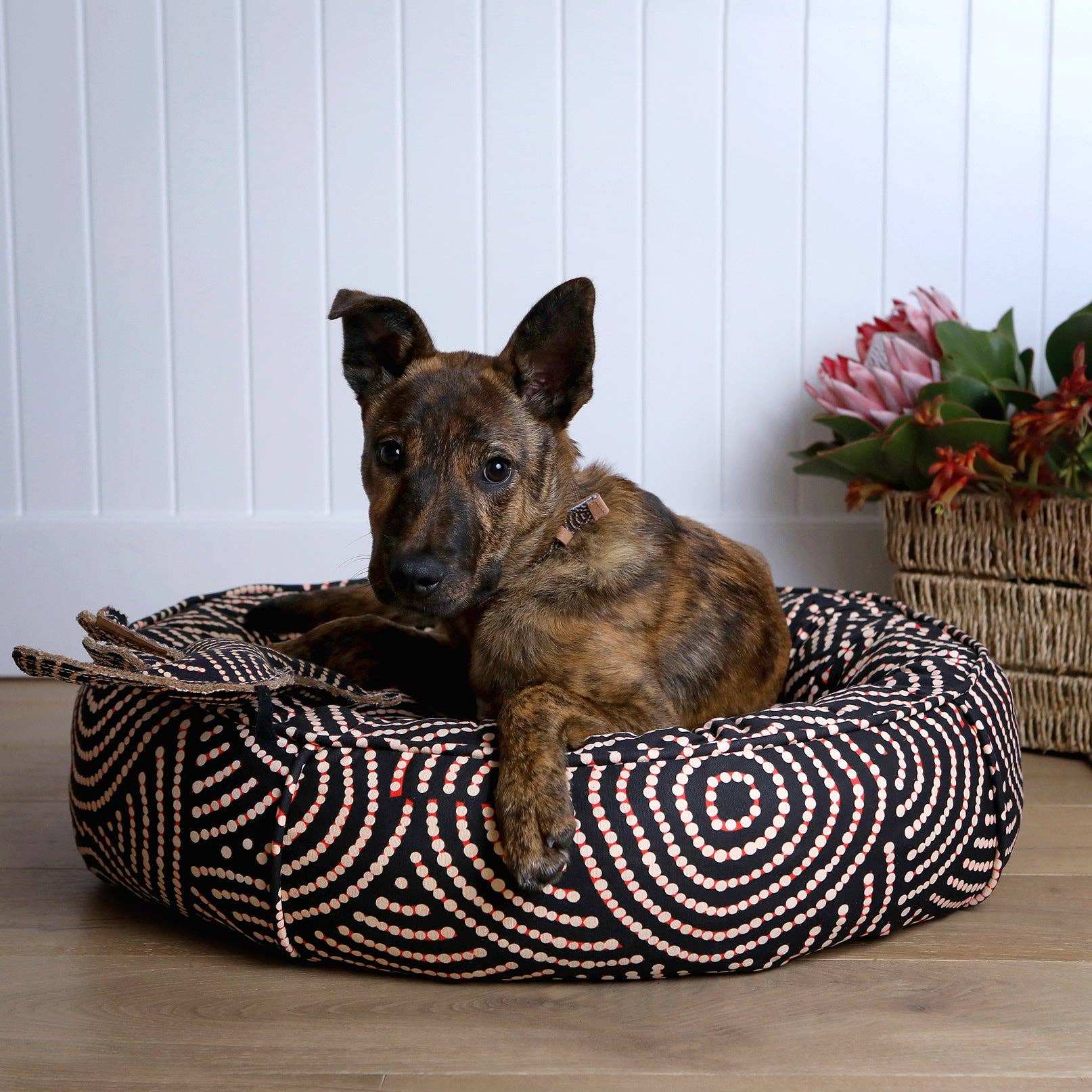 Desert Dog Chew Toy - Bob