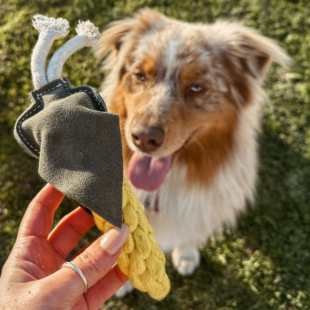 SWEET CORN Rope Toy