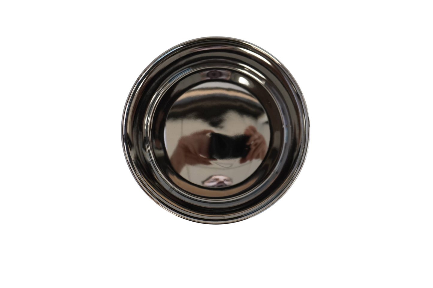 Luigi Luxe Silver Dog Bowl