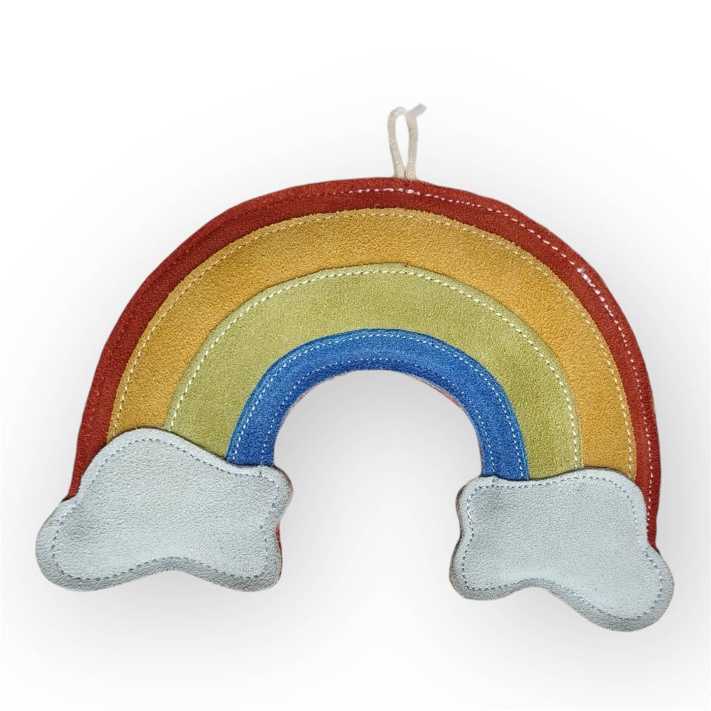 Rainbows Eco Leather Dog Toy