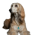 Bespoke Birthstone Collars