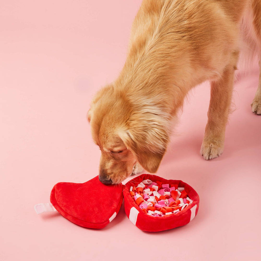HEART SNUFFLE Dog Toy