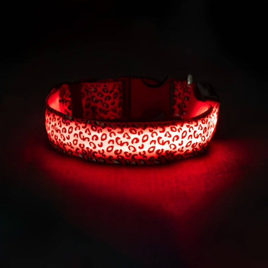LED Dog Collar: Red / M