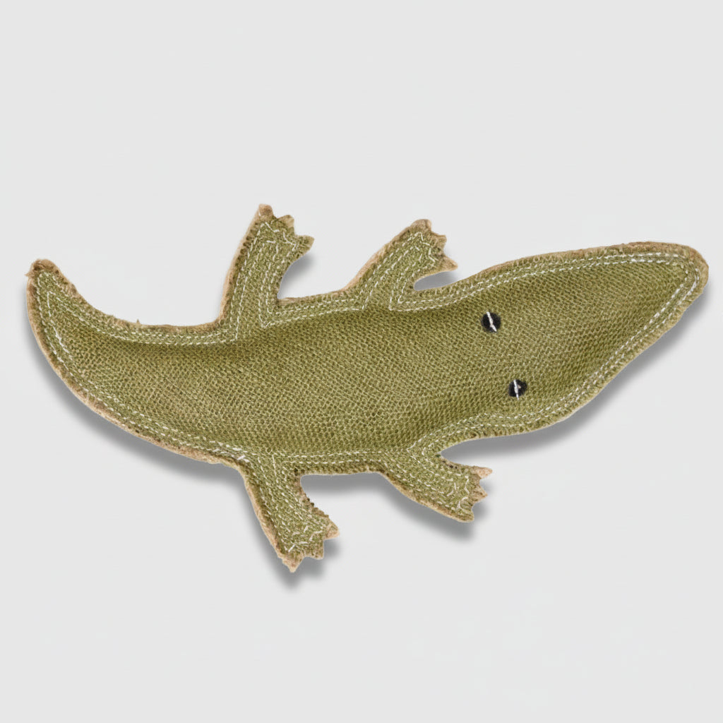 COREY The Croc