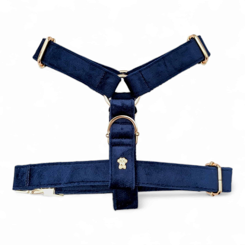 Luxe Velvet "No-Pull" Harness - Midnight Blue: X Small