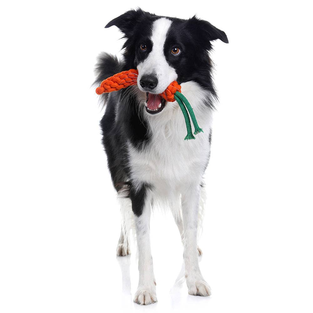 CARROT Rope Toy