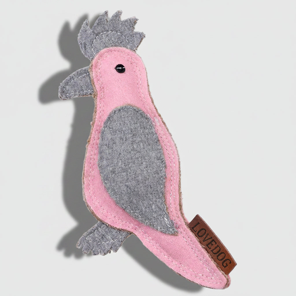 GERTIE The Galah