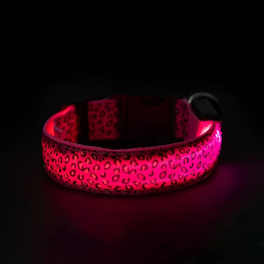 LED Dog Collar: Pink / S