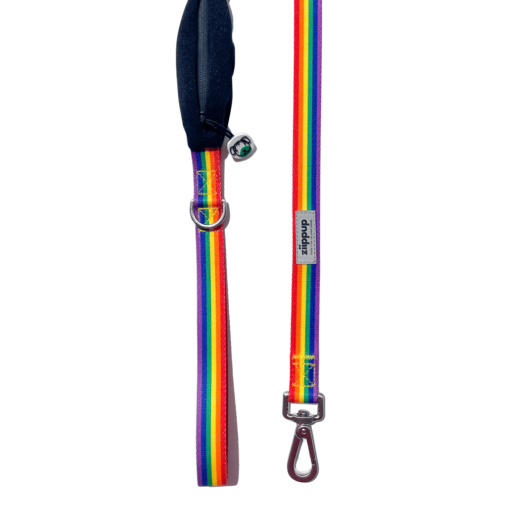 Rainbow Dog Leash with Built-in Poop Bag Holder