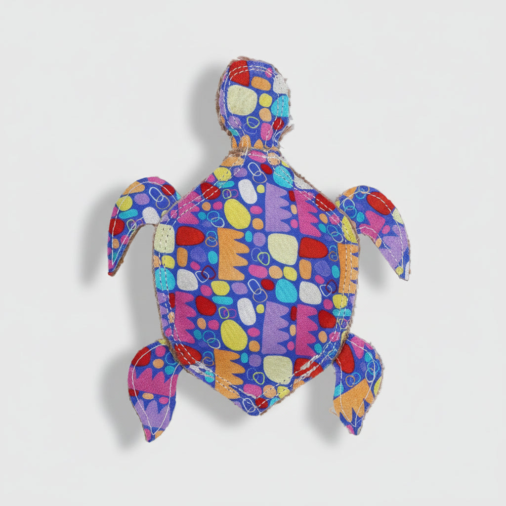 TERRY the Turtle