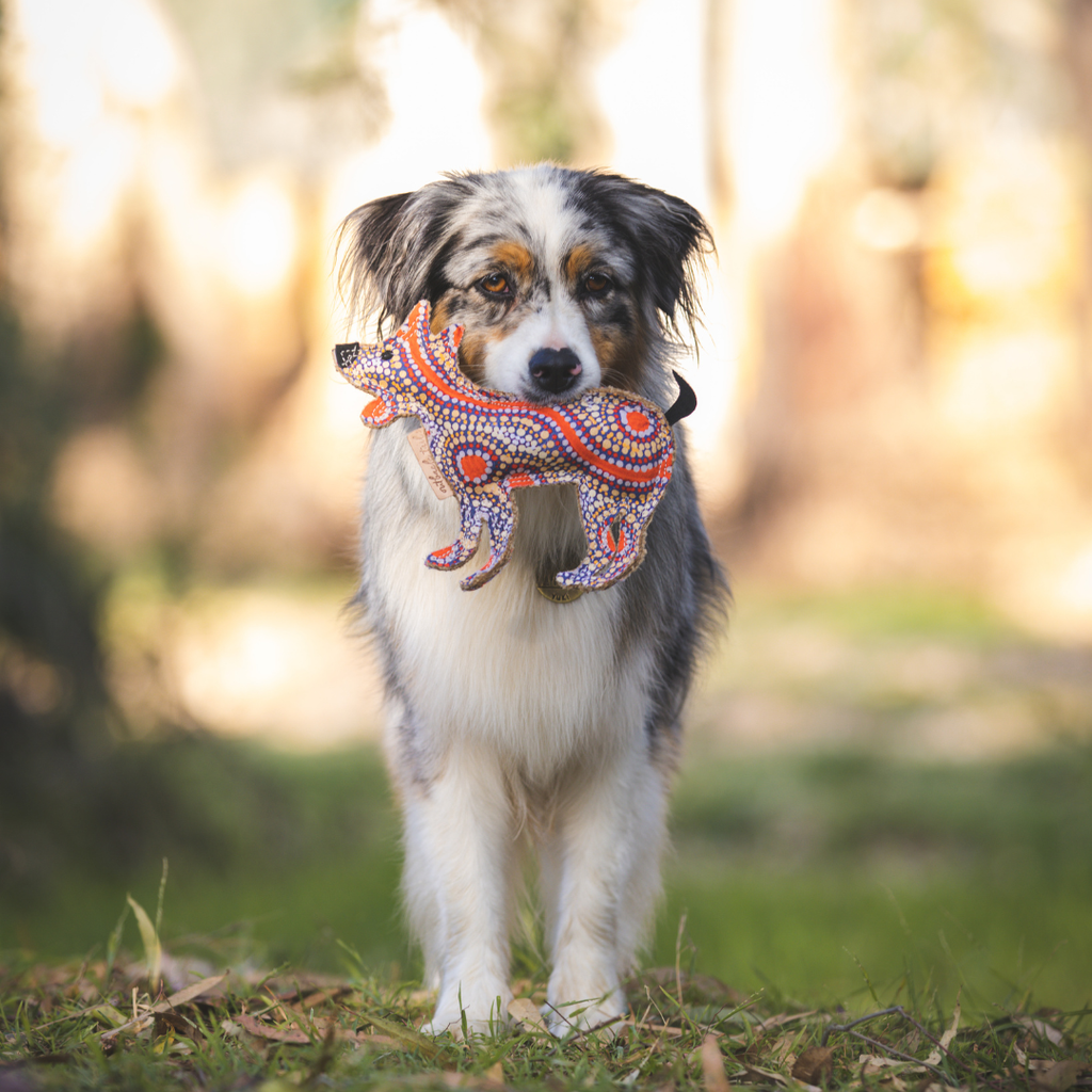 Desert Dog Chew Toy - Trevor