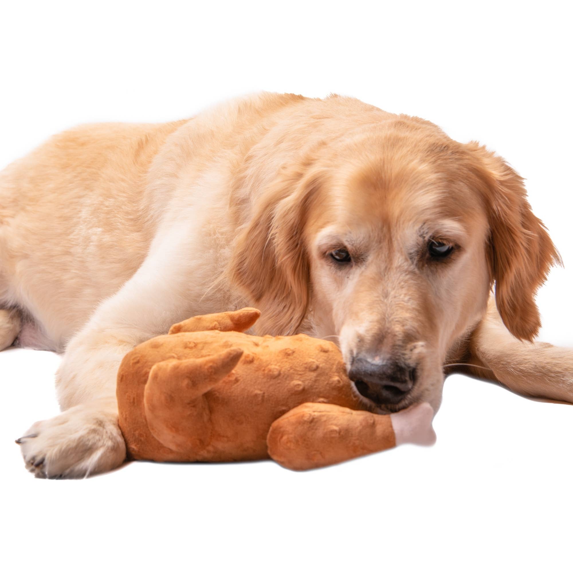 Midlee Roasted Thanksgiving Turkey Plush Dog Toy: Small