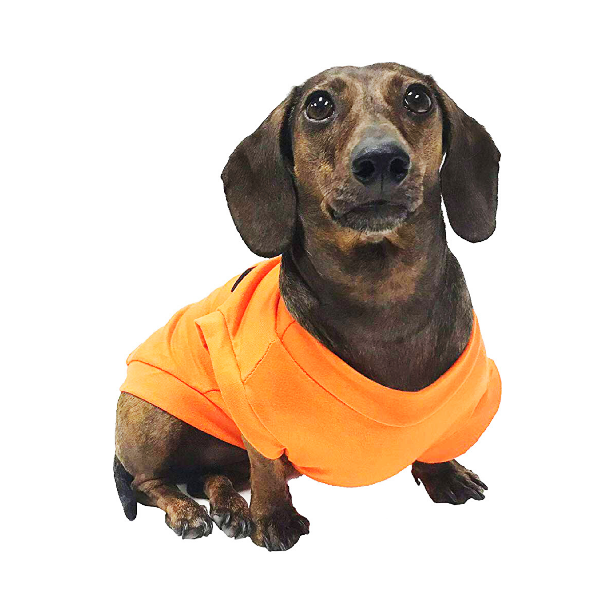 Midlee Pumpkin Face Dog Shirt Costume: Large