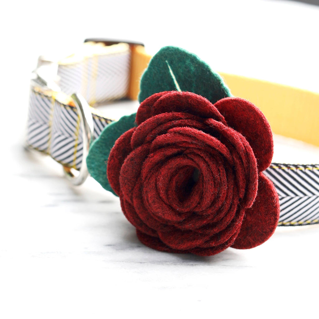 Dog Collar Rose Flower