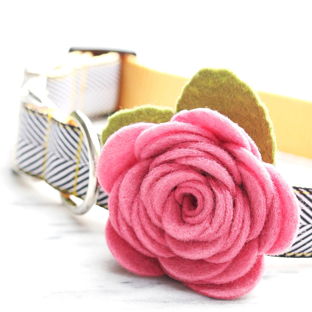 Dog Collar Rose Flower