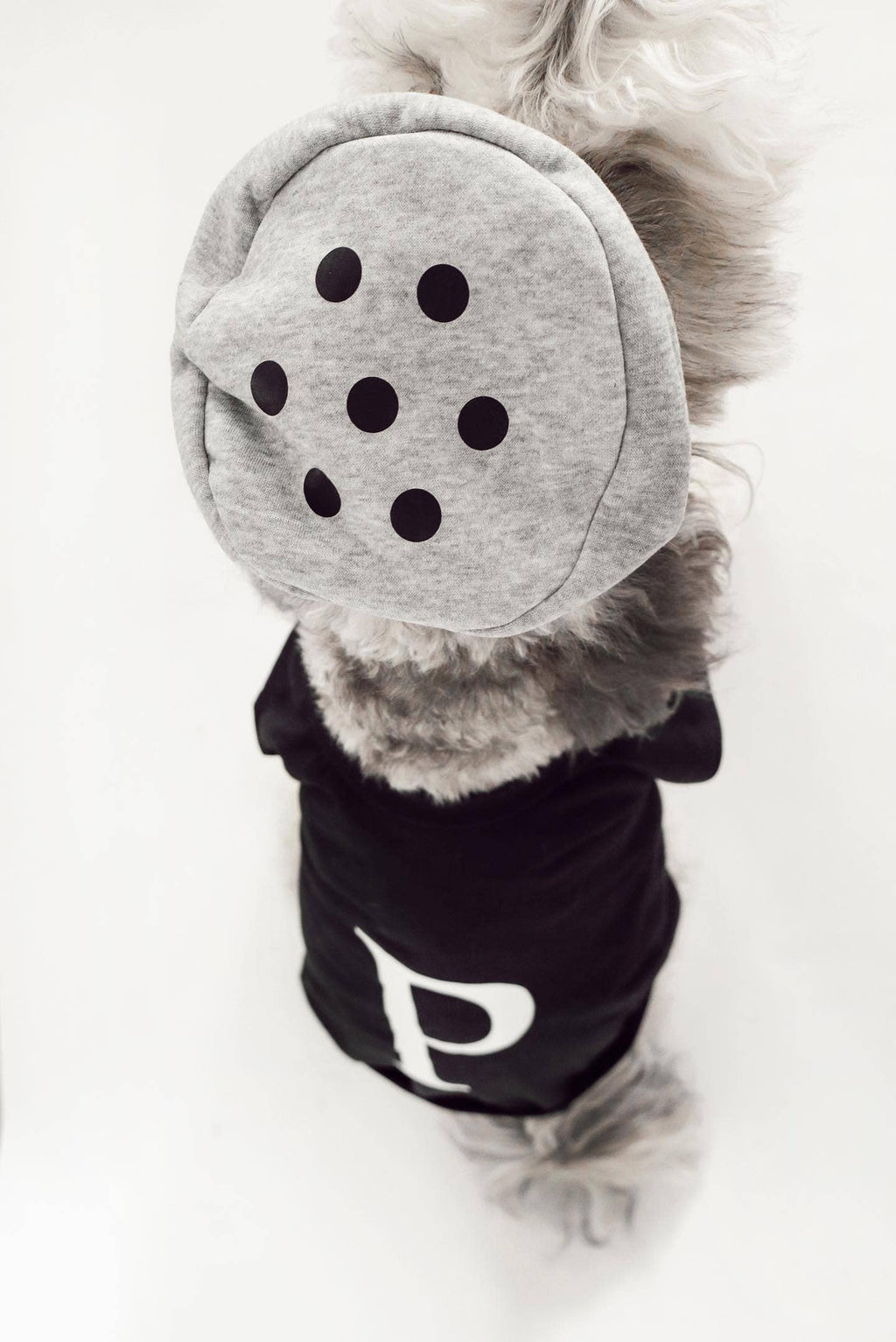 Midlee Salt & Pepper Dog Costume: Large - 15" / Salt
