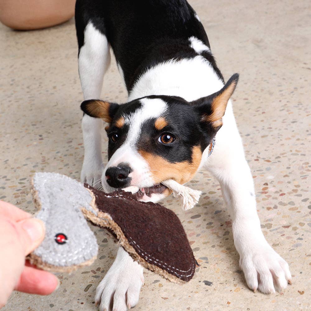 Outback Felt Toy - Ernie The Emu