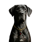 Bespoke Birthstone Collars