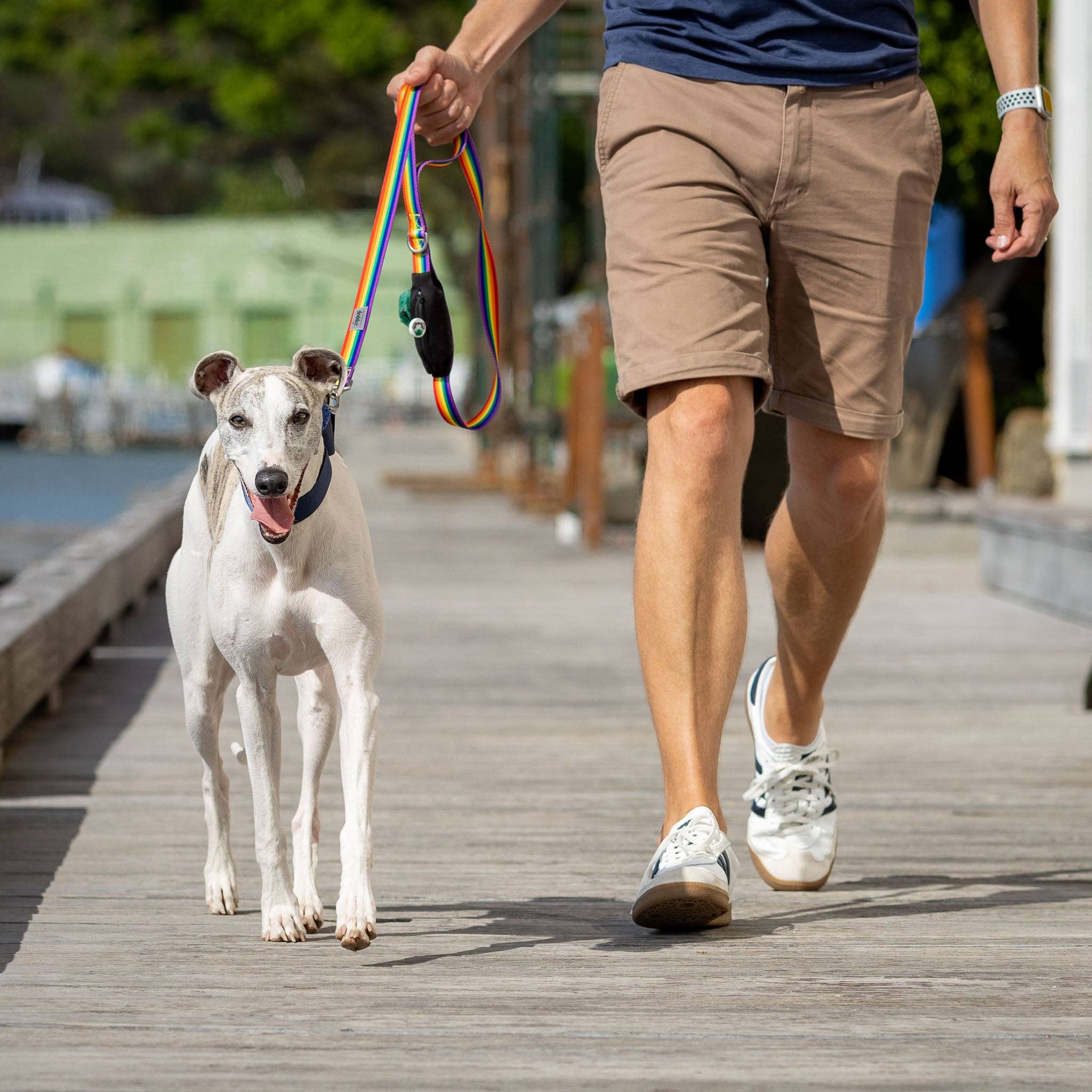 Rainbow Dog Leash with Built-in Poop Bag Holder
