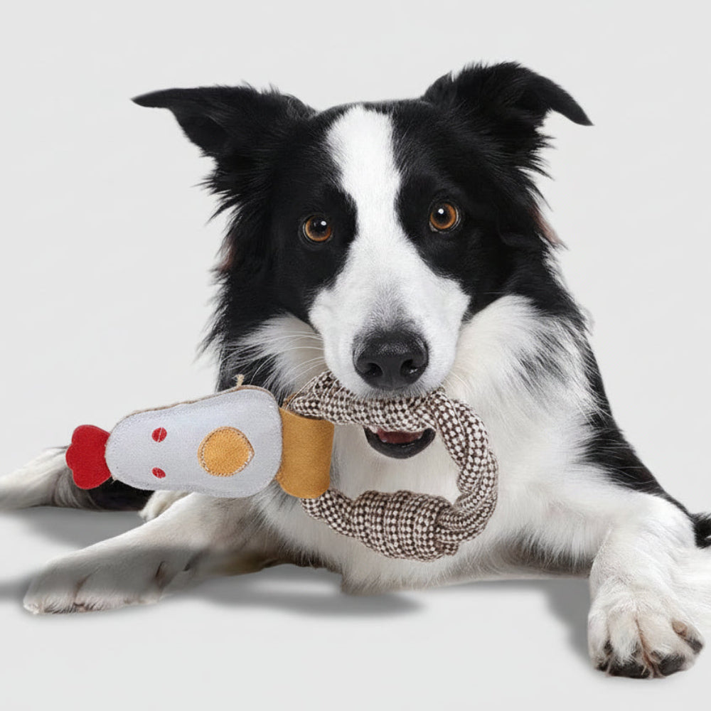 CHICKEN ROPE Ring Toy