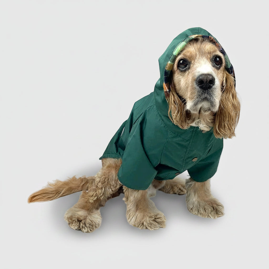 RAIN JACKET - Forest Green
