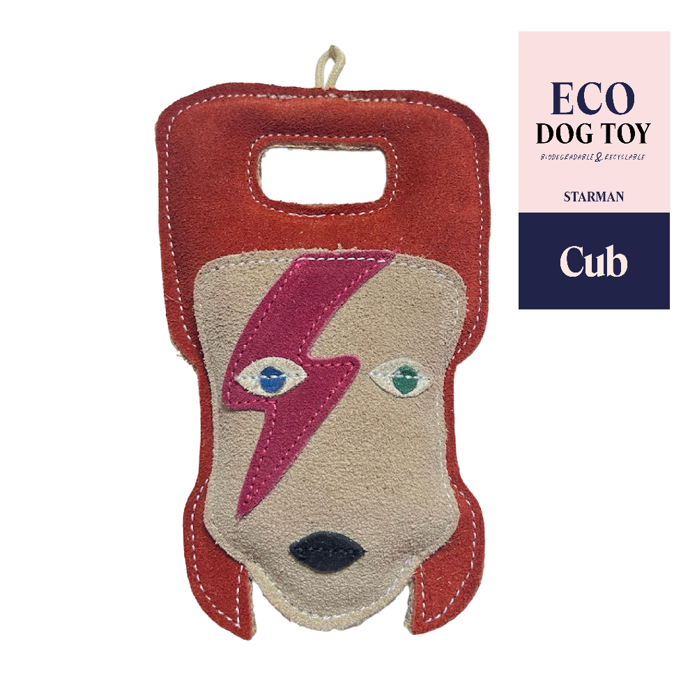 Starman Eco Dog Leather Toy (Limited Edition)