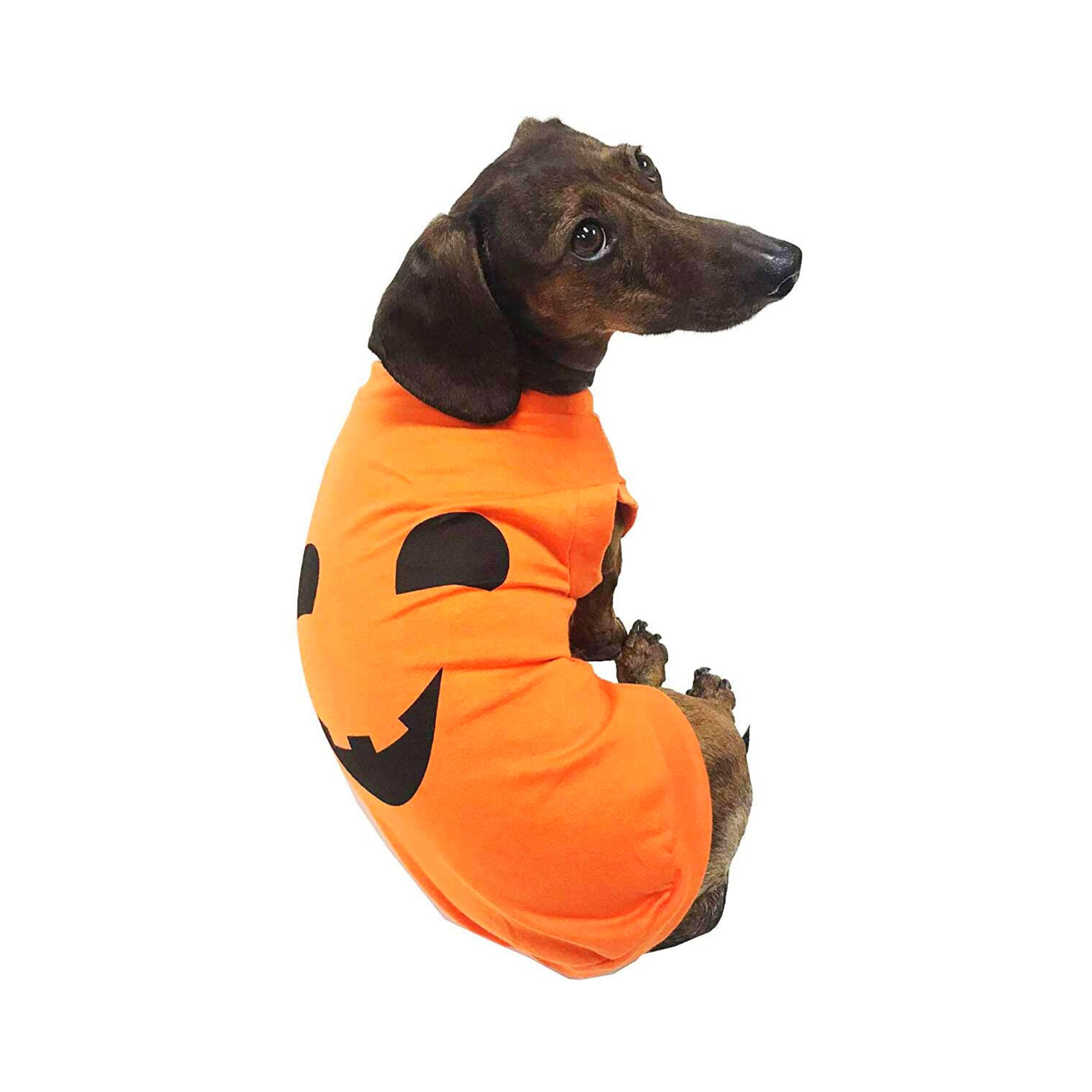 Midlee Pumpkin Face Dog Shirt Costume: Large