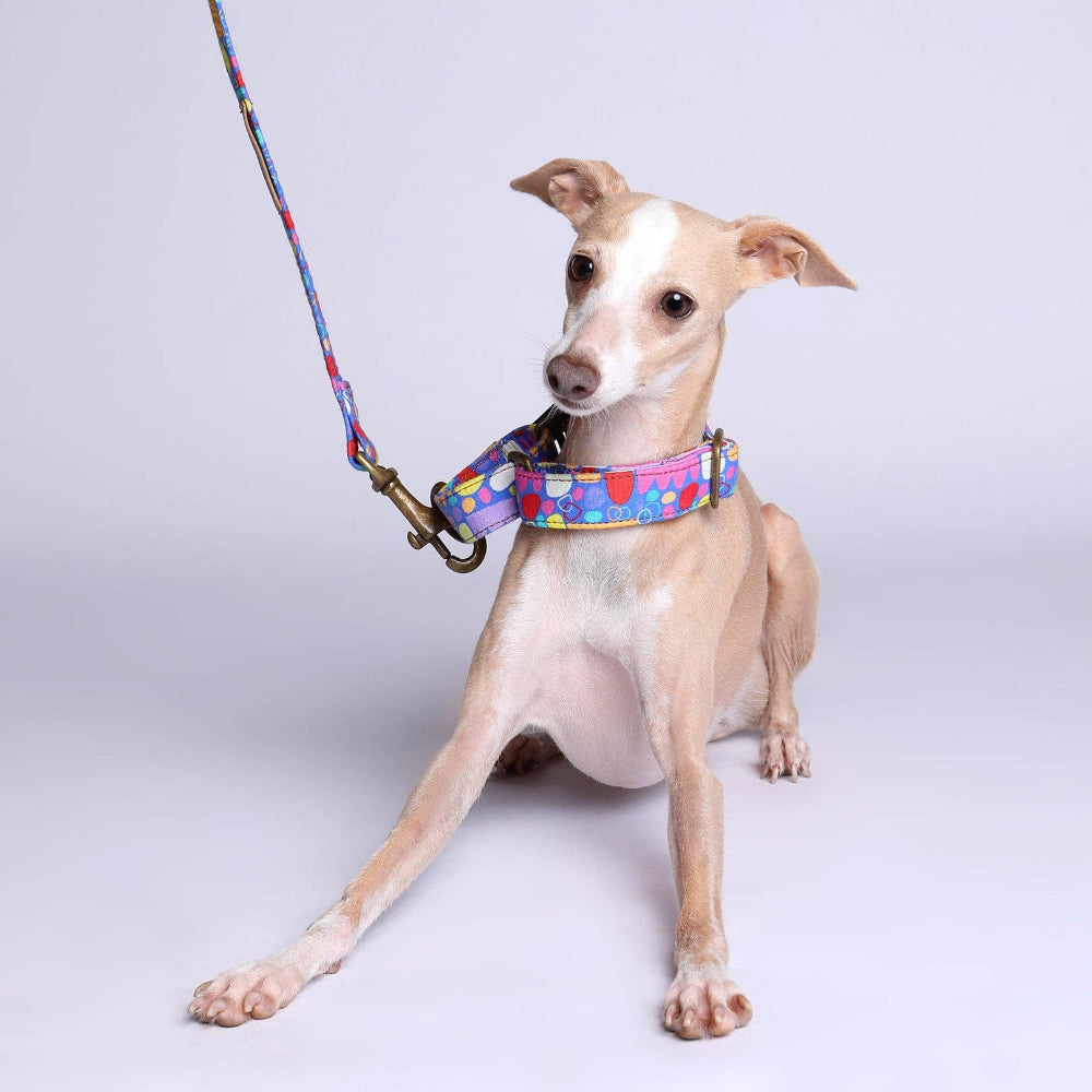 MARTINGALE Collar - Mina Mina