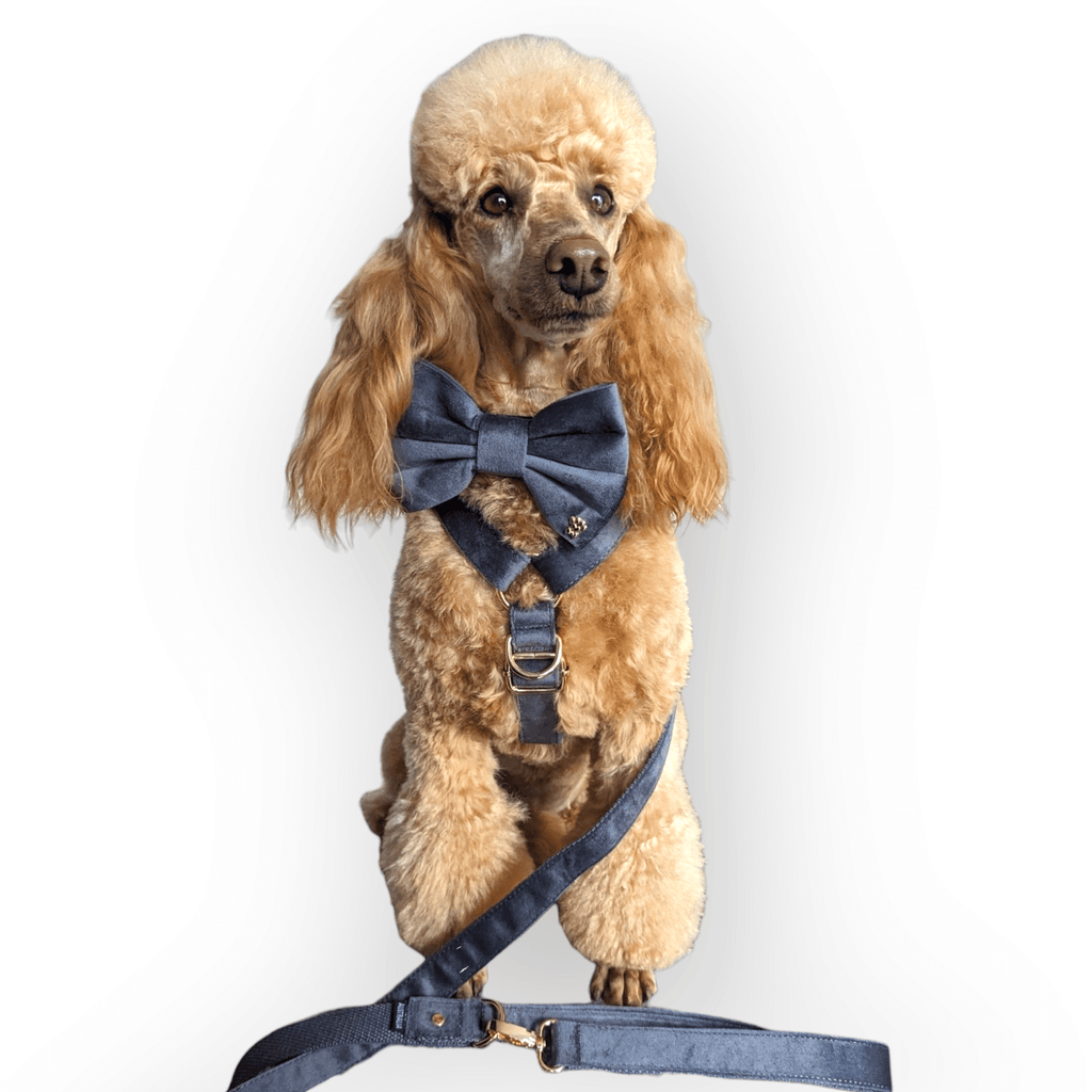 LUXE VELVET Leash - Slate Grey