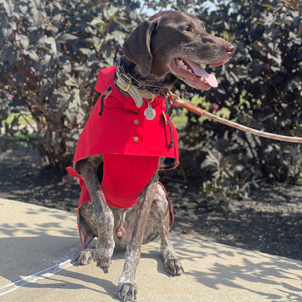 RAIN PONCHO - Apple Red