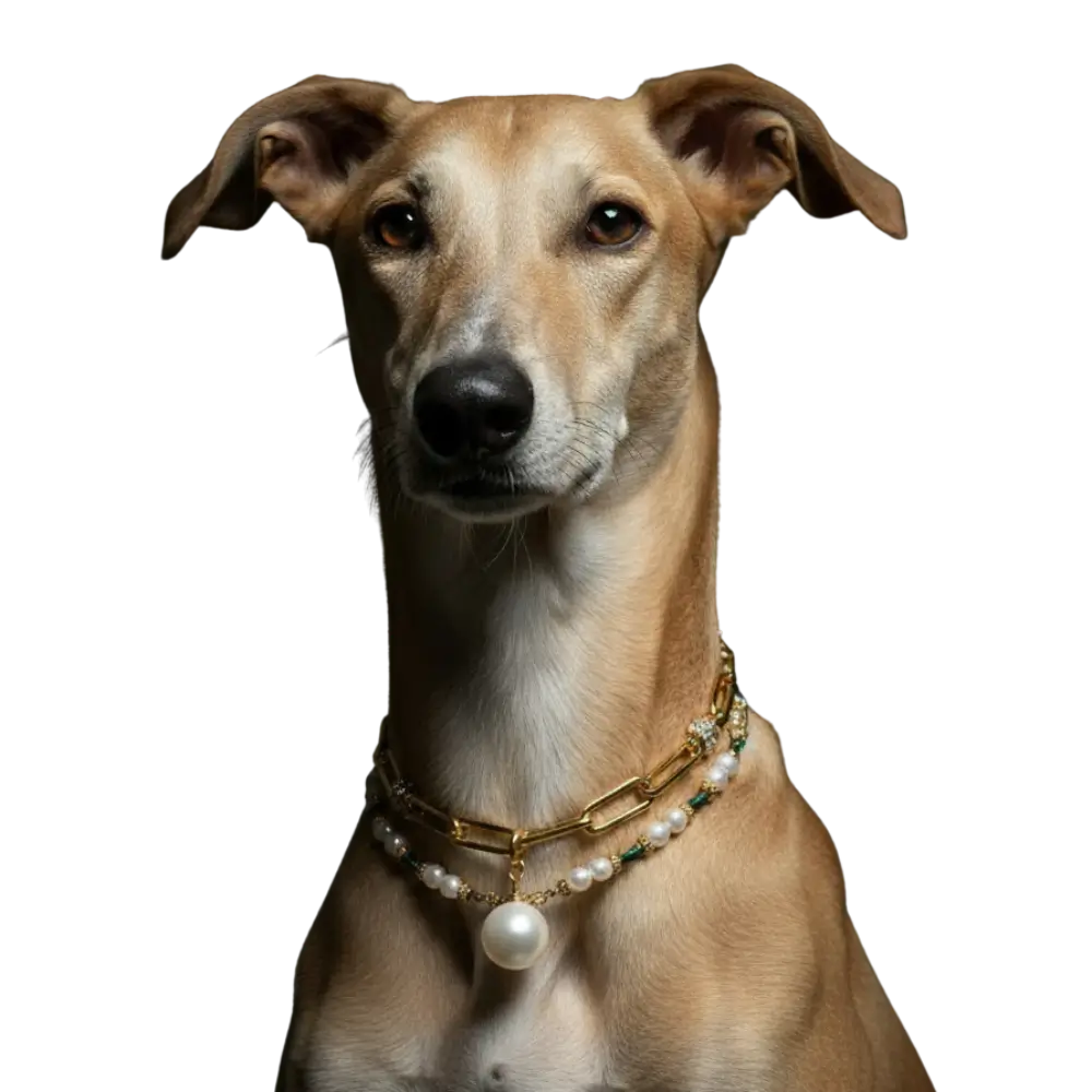 Bespoke Birthstone Collars