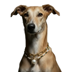 Bespoke Birthstone Collars