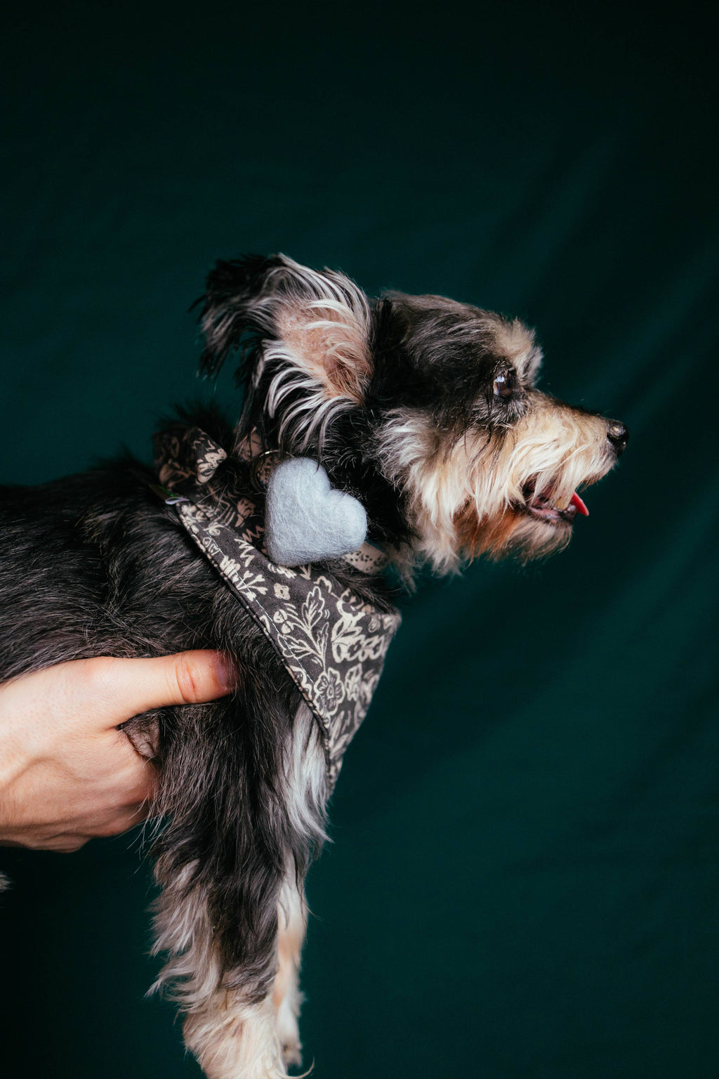 WE HEART COLLAR ACCESSORY