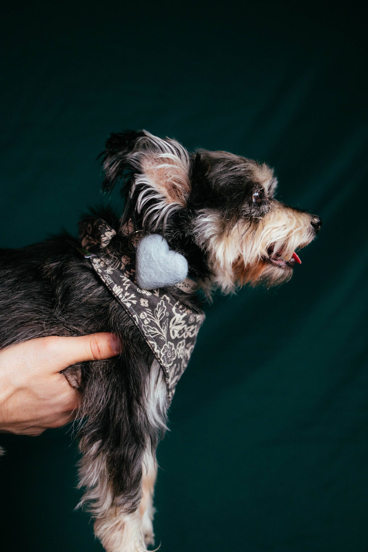 WE HEART COLLAR ACCESSORY