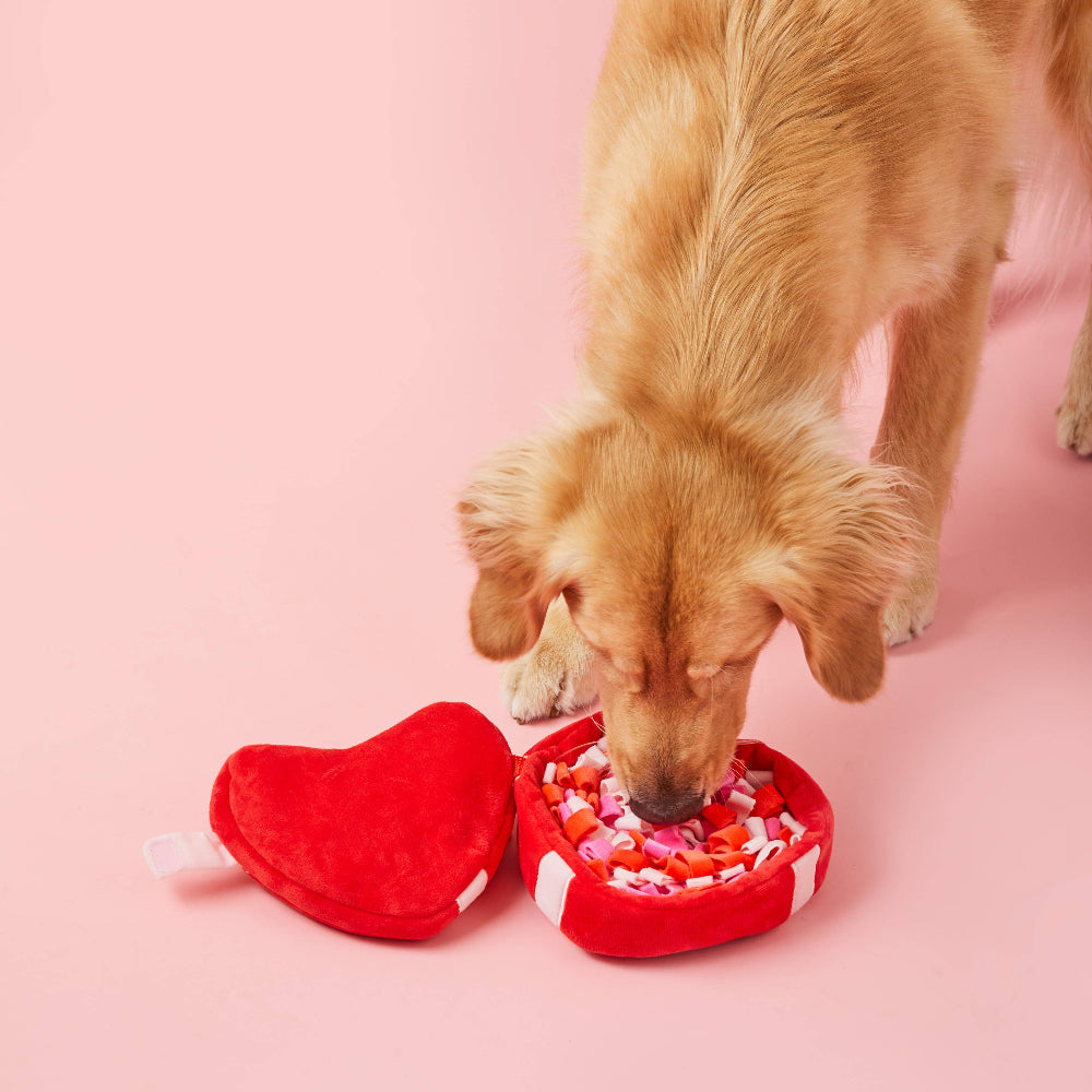 HEART SNUFFLE Dog Toy
