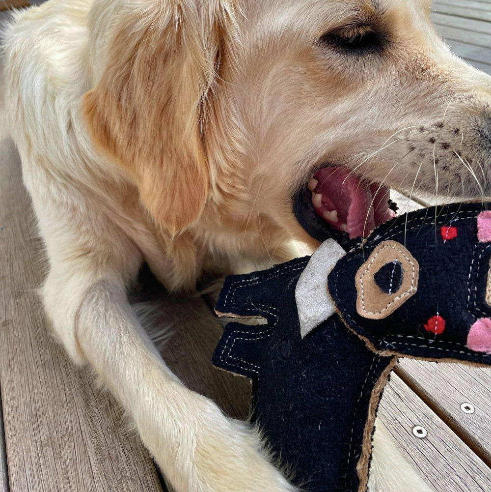 TAZ The Tassie Devil