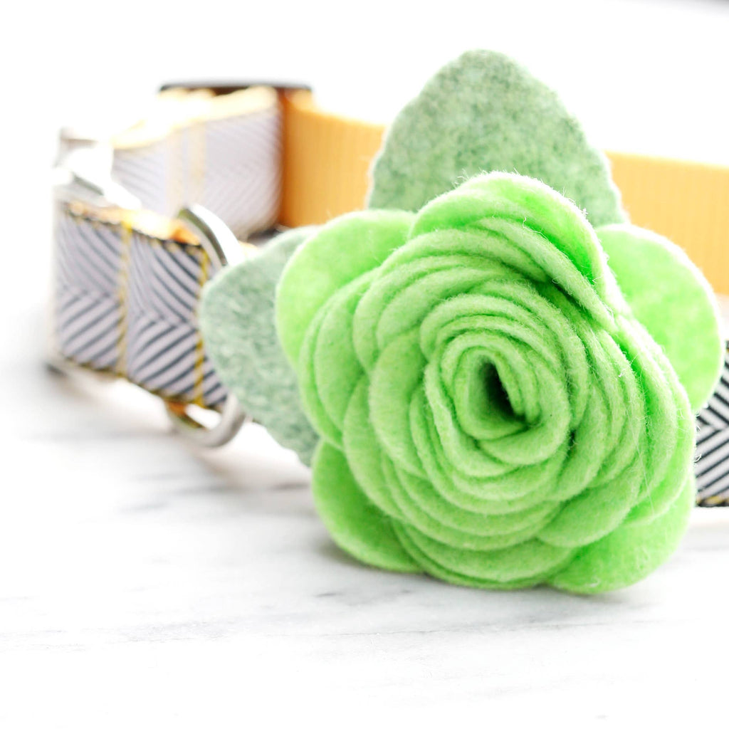 Dog Collar Rose Flower