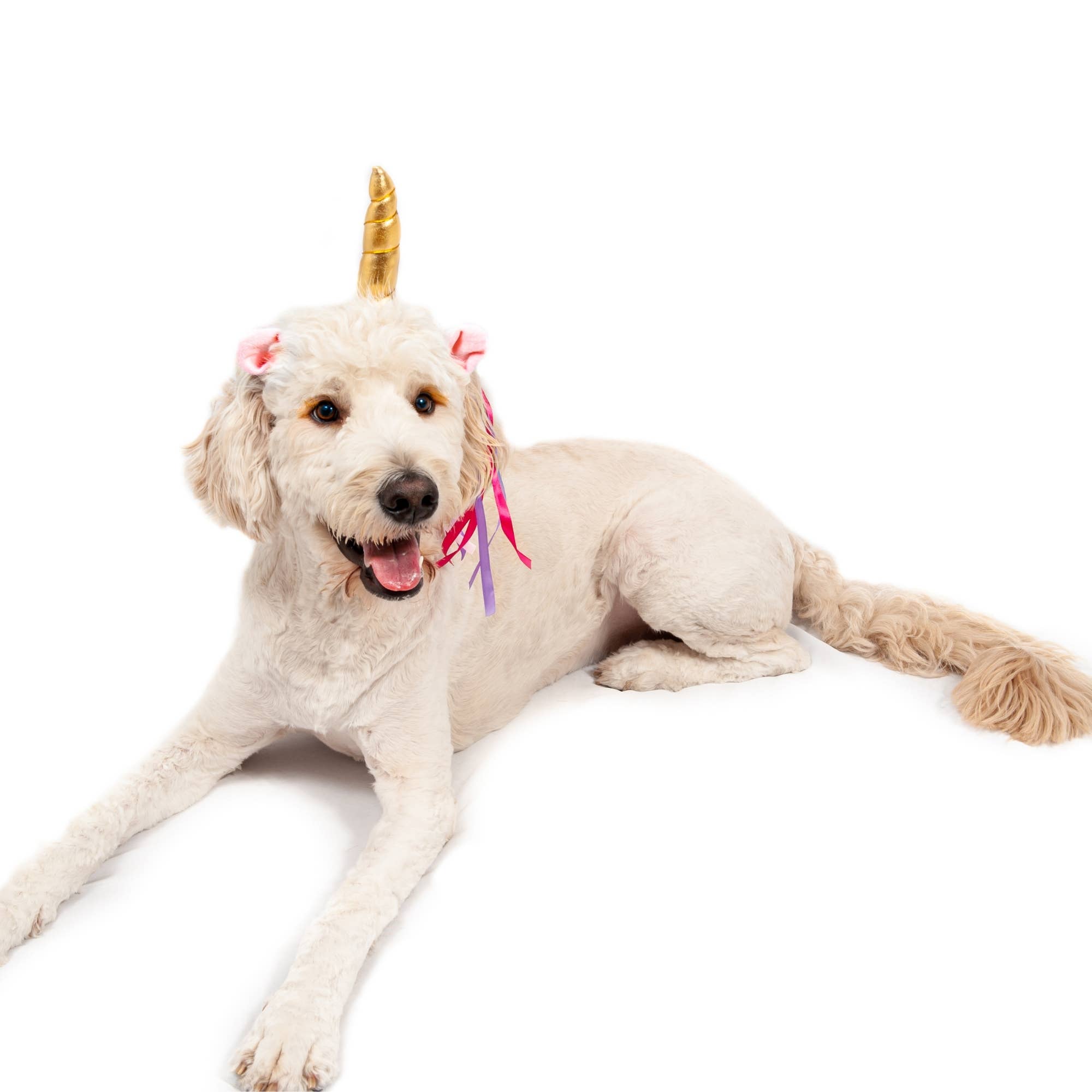 Midlee Dog Unicorn Headband Halloween Costume