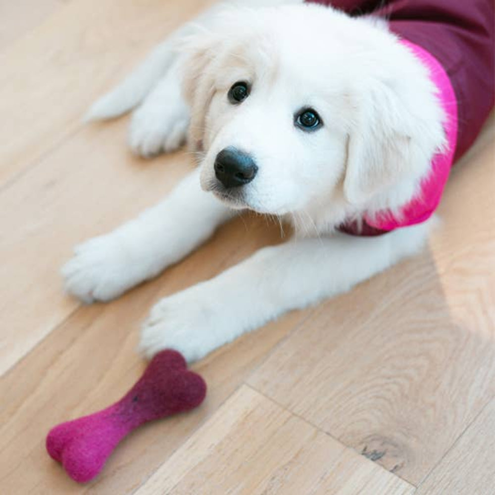 OMBRE WOOL BONE