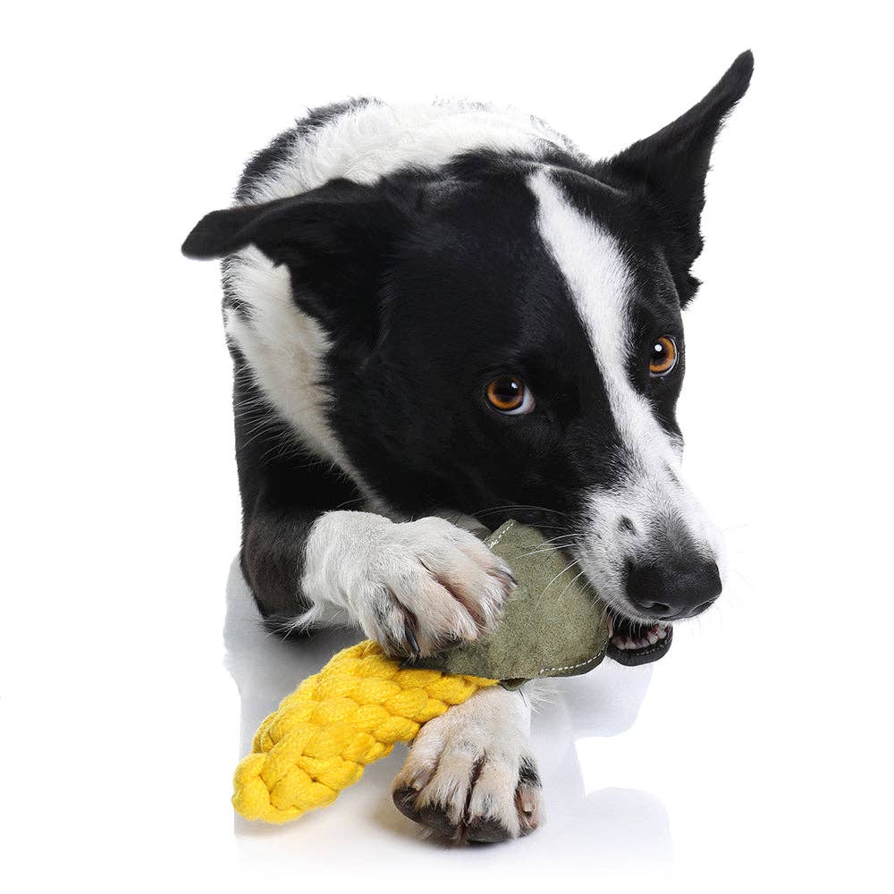 SWEET CORN Rope Toy
