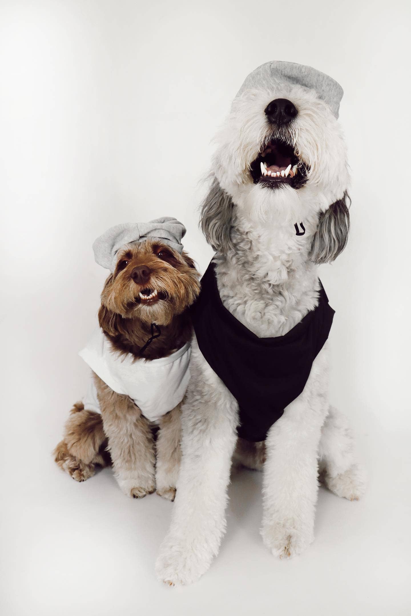 Midlee Salt & Pepper Dog Costume: Large - 15" / Pepper