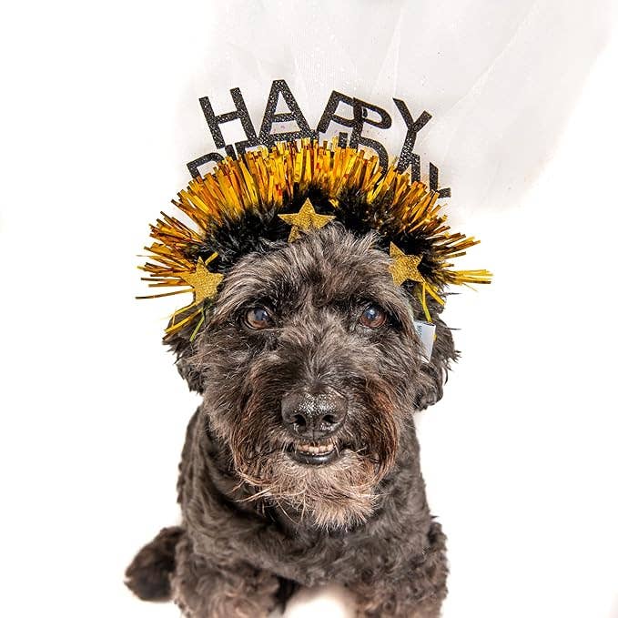Sparkle Happy Birthday Dog Headband: Pink