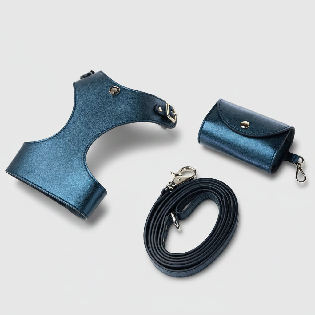 HANDMADE LEATHER SET - Blue